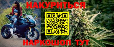 дурь Кингисепп